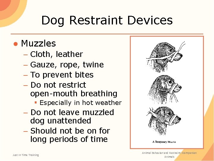 Dog Restraint Devices ● Muzzles – Cloth, leather – Gauze, rope, twine – To