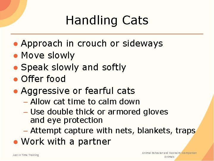 Handling Cats ● Approach in crouch or sideways ● Move slowly ● Speak slowly
