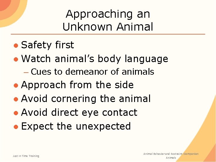 Approaching an Unknown Animal ● Safety first ● Watch animal’s body language – Cues