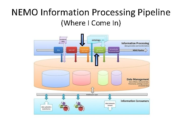NEMO Information Processing Pipeline (Where I Come In) 
