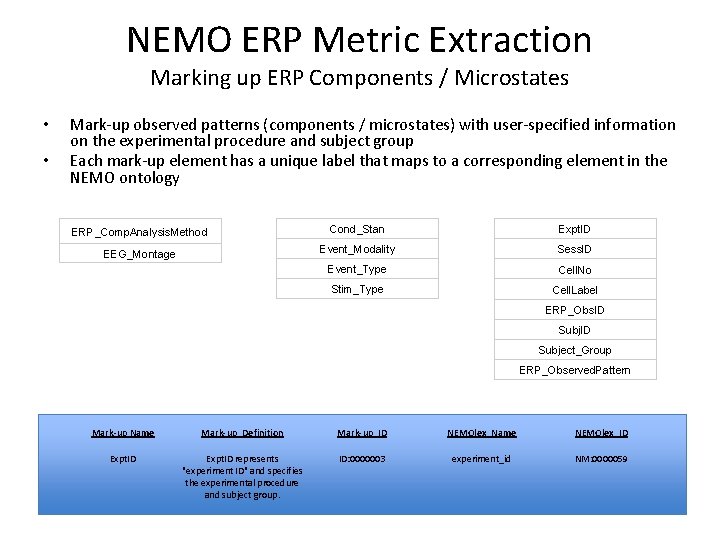 NEMO ERP Metric Extraction Marking up ERP Components / Microstates • • Mark-up observed