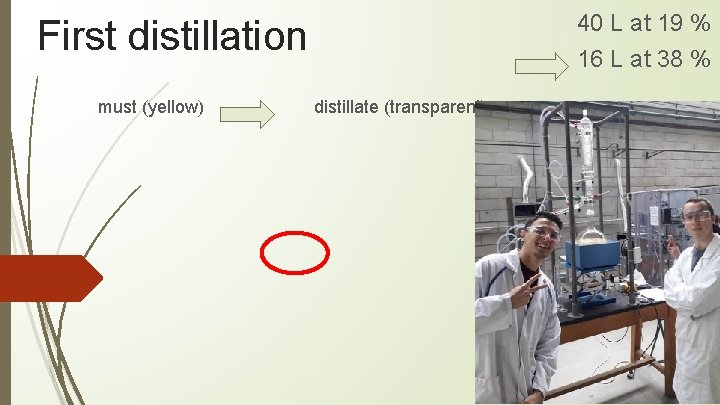 40 L at 19 % First distillation must (yellow) 16 L at 38 %