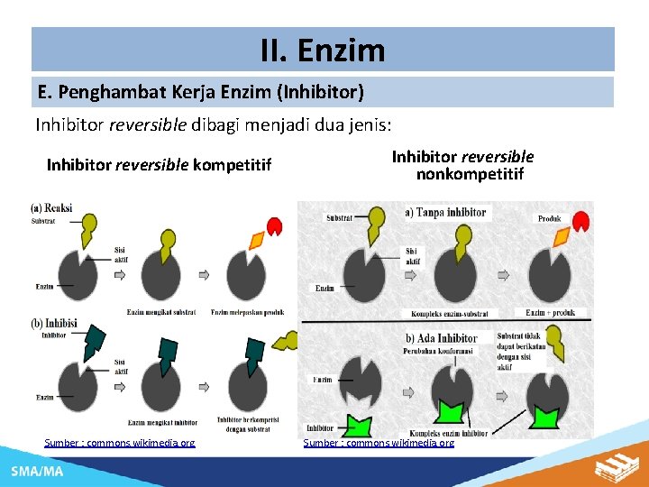 II. Enzim E. Penghambat Kerja Enzim (Inhibitor) Inhibitor reversible dibagi menjadi dua jenis: Inhibitor