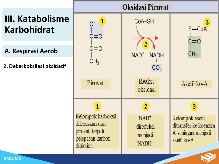 III. Katabolisme Karbohidrat A. Respirasi Aerob 2. Dekarboksilasi oksidatif 