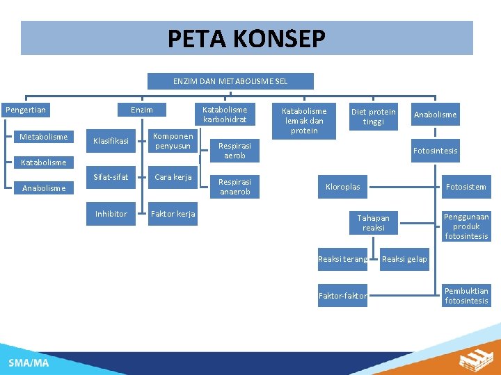 PETA KONSEP ENZIM DAN METABOLISME SEL Metabolisme Katabolisme karbohidrat Enzim Pengertian Klasifikasi Komponen penyusun