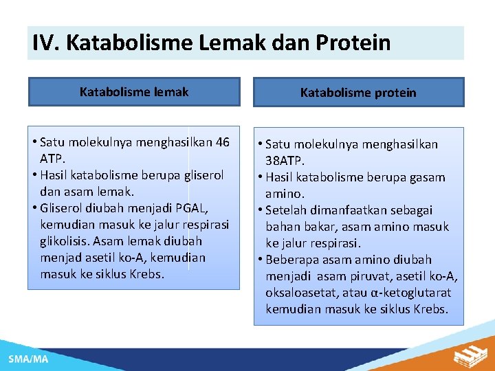 IV. Katabolisme Lemak dan Protein Katabolisme lemak Katabolisme protein • Satu molekulnya menghasilkan 46