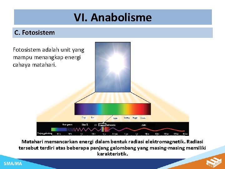 VI. Anabolisme C. Fotosistem adalah unit yang mampu menangkap energi cahaya matahari. Matahari memancarkan