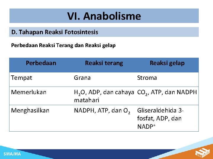 VI. Anabolisme D. Tahapan Reaksi Fotosintesis Perbedaan Reaksi Terang dan Reaksi gelap Perbedaan Reaksi