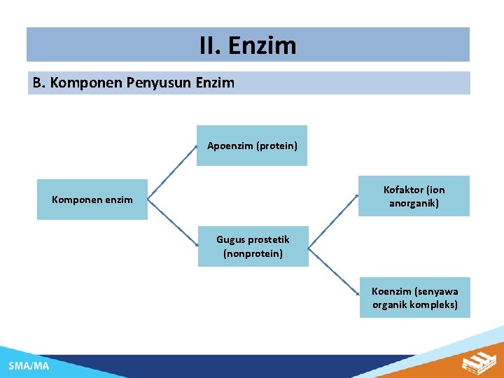 II. Enzim B. Komponen Penyusun Enzim Apoenzim (protein) Kofaktor (ion anorganik) Komponen enzim Gugus