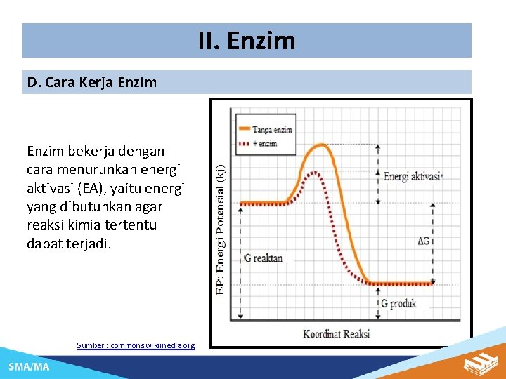 II. Enzim D. Cara Kerja Enzim bekerja dengan cara menurunkan energi aktivasi (EA), yaitu