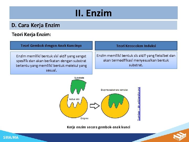 II. Enzim D. Cara Kerja Enzim Teori Kerja Enzim: Teori Kecocokan Induksi Enzim memiliki