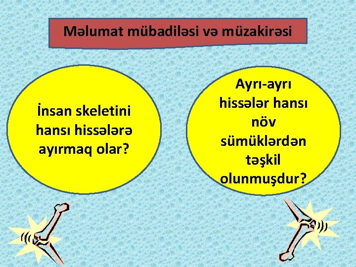 Məlumat mübadiləsi və müzakirəsi İnsan skeletini hansı hissələrə ayırmaq olar? Ayrı-ayrı hissələr hansı növ