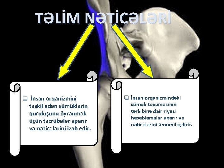 TƏLİM NƏTİCƏLƏRİ q İnsan orqanizmini təşkil edən sümüklərin quruluşunu öyrənmək üçün təcrübələr aparır və