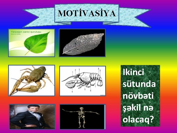 MOTİVASİYA ? Ikinci sütunda növbəti şəkil nə olacaq? 