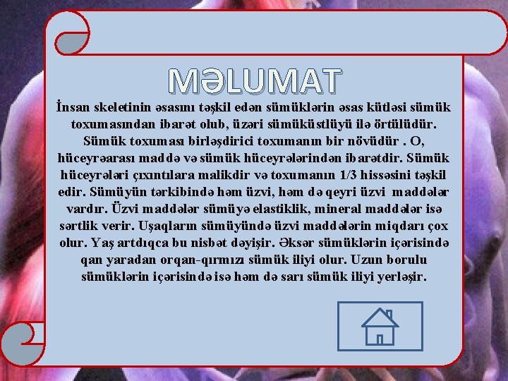 MƏLUMAT İnsan skeletinin əsasını təşkil edən sümüklərin əsas kütləsi sümük toxumasından ibarət olub, üzəri