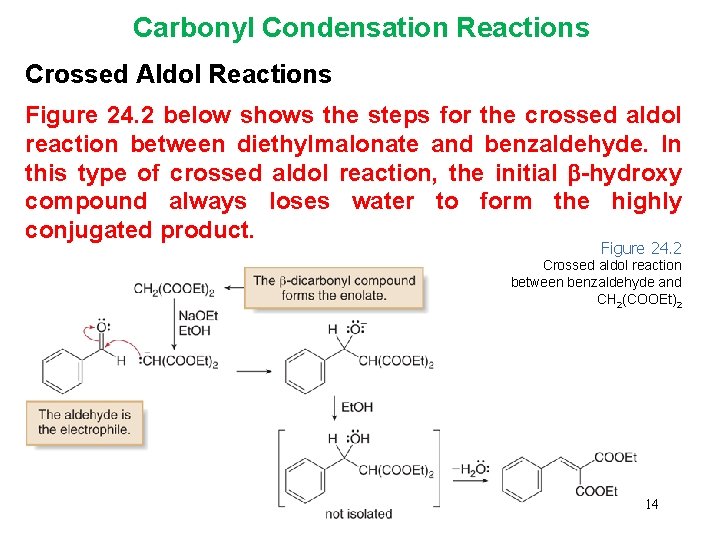 Carbonyl Condensation Reactions Crossed Aldol Reactions Figure 24. 2 below shows the steps for