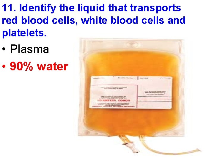 11. Identify the liquid that transports red blood cells, white blood cells and platelets.