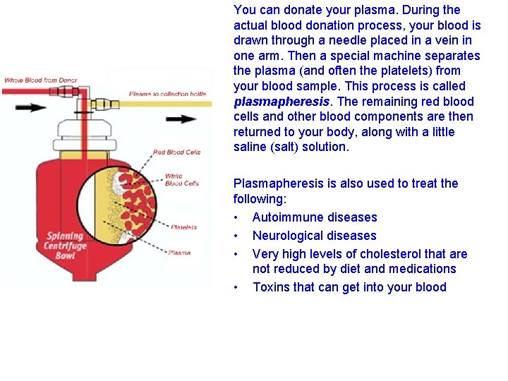 You can donate your plasma. During the actual blood donation process, your blood is