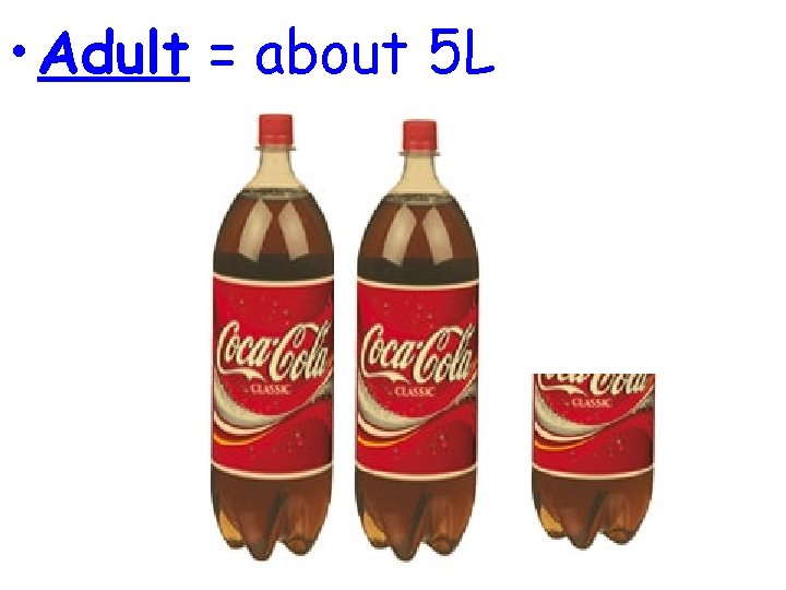  • Adult = about 5 L 