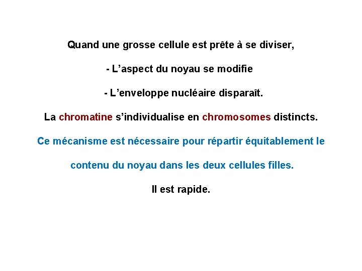 Quand une grosse cellule est prête à se diviser, - L’aspect du noyau se