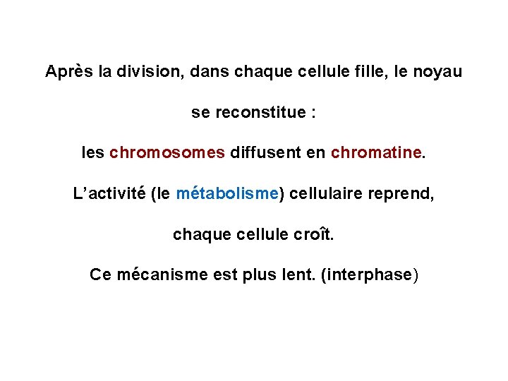 Après la division, dans chaque cellule fille, le noyau se reconstitue : les chromosomes