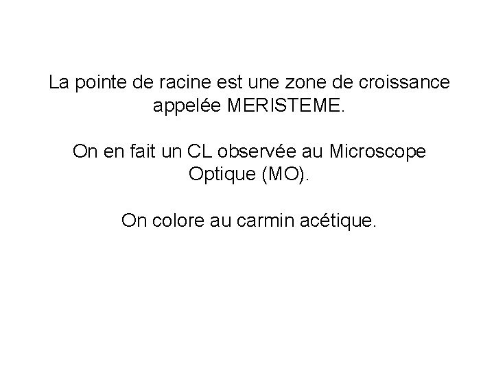 La pointe de racine est une zone de croissance appelée MERISTEME. On en fait