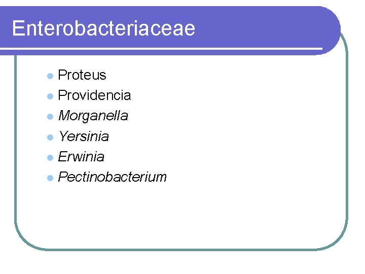 Enterobacteriaceae Proteus l Providencia l Morganella l Yersinia l Erwinia l Pectinobacterium l 