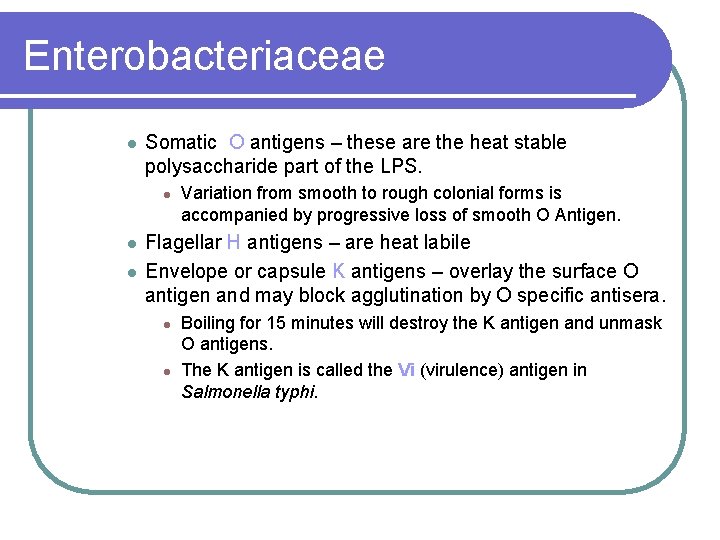 Enterobacteriaceae l Somatic O antigens – these are the heat stable polysaccharide part of