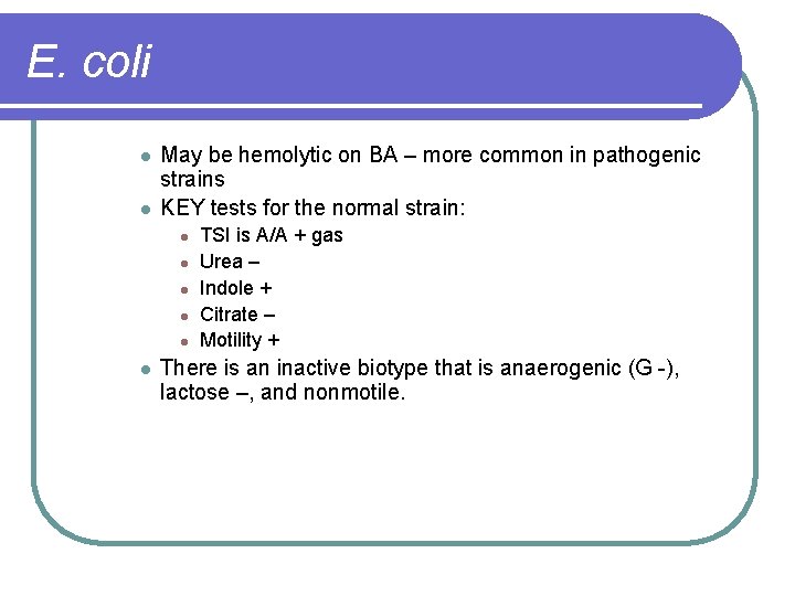 E. coli l l May be hemolytic on BA – more common in pathogenic