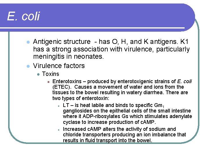 E. coli l l Antigenic structure - has O, H, and K antigens. K