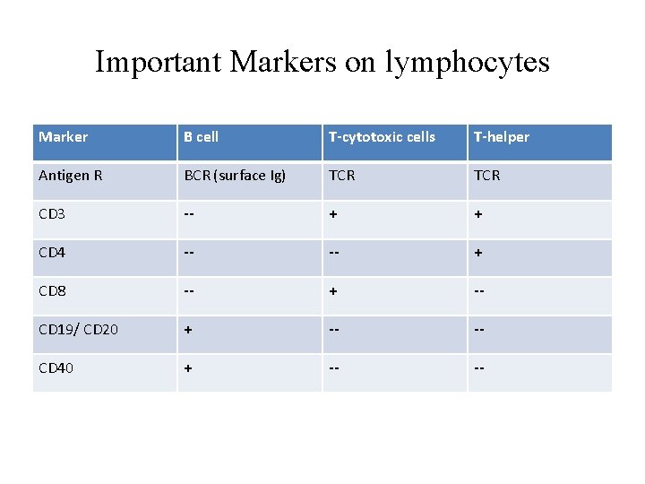 Important Markers on lymphocytes Marker B cell T-cytotoxic cells T-helper Antigen R BCR (surface