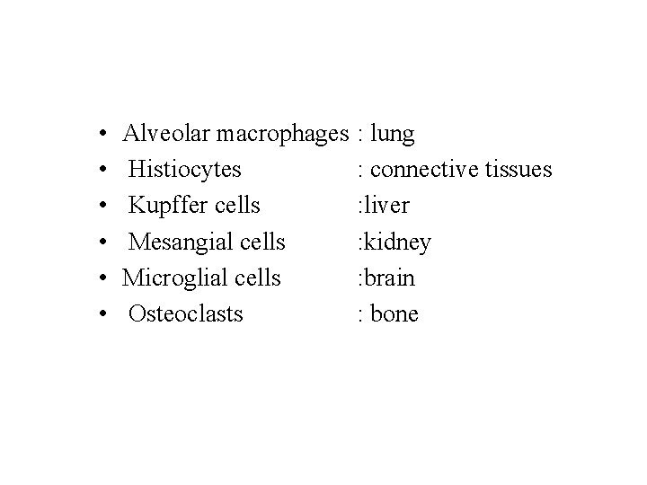  • • • Alveolar macrophages Histiocytes Kupffer cells Mesangial cells Microglial cells Osteoclasts
