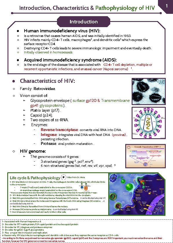 Introduction, Characteristics & Pathophysiology of HIV Introduction ● Human immunodeficiency virus (HIV): ○ ○