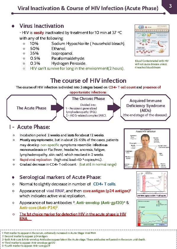 31 Viral Inactivation & Course of HIV Infection (Acute Phase) ● Virus Inactivation -