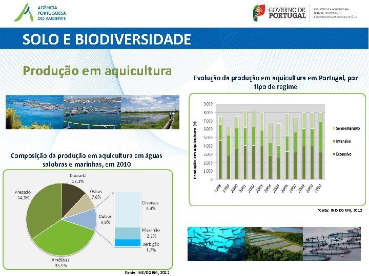 SOLO E BIODIVERSIDADE Produção em aquicultura Evolução da produção em aquicultura em Portugal, por SOLO E BIODIVERSIDADE Produção em aquicultura Evolução da produção em aquicultura em Portugal, por