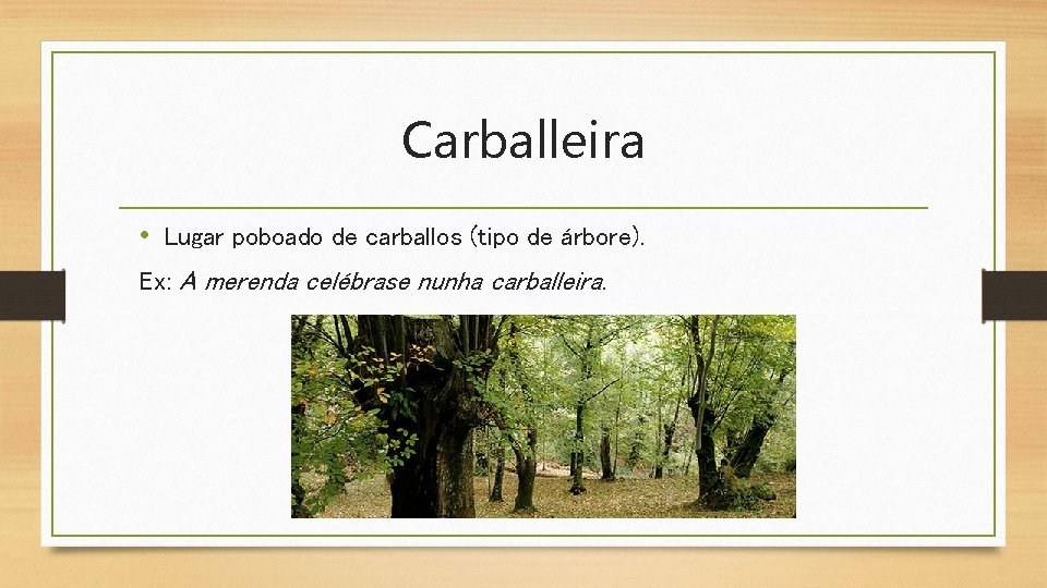 Carballeira • Lugar poboado de carballos (tipo de árbore). Ex: A merenda celébrase nunha