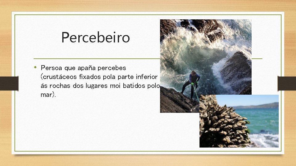 Percebeiro • Persoa que apaña percebes (crustáceos fixados pola parte inferior ás rochas dos