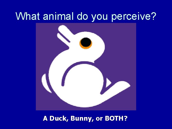 What animal do you perceive? A Duck, Bunny, or BOTH? 