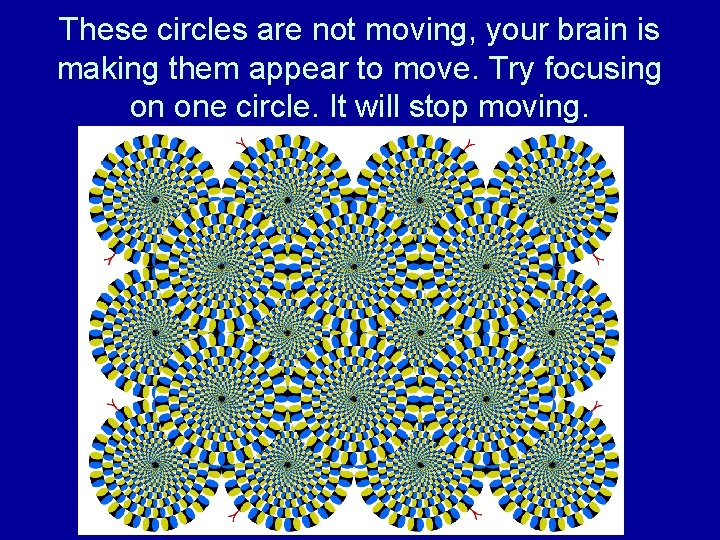 These circles are not moving, your brain is making them appear to move. Try