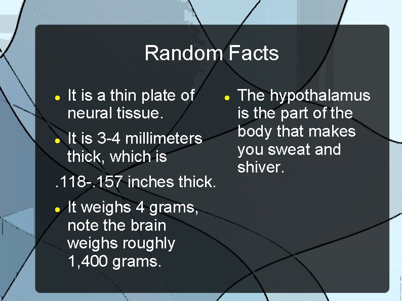 Random Facts It is a thin plate of neural tissue. It is 3 -4