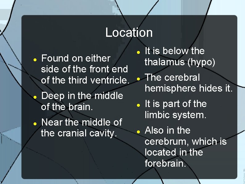 Location Found on either side of the front end of the third ventricle. Deep