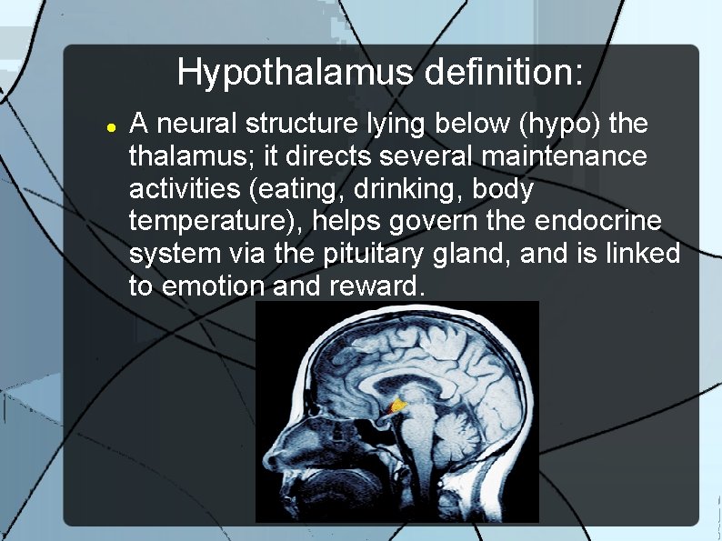 Hypothalamus definition: A neural structure lying below (hypo) the thalamus; it directs several maintenance