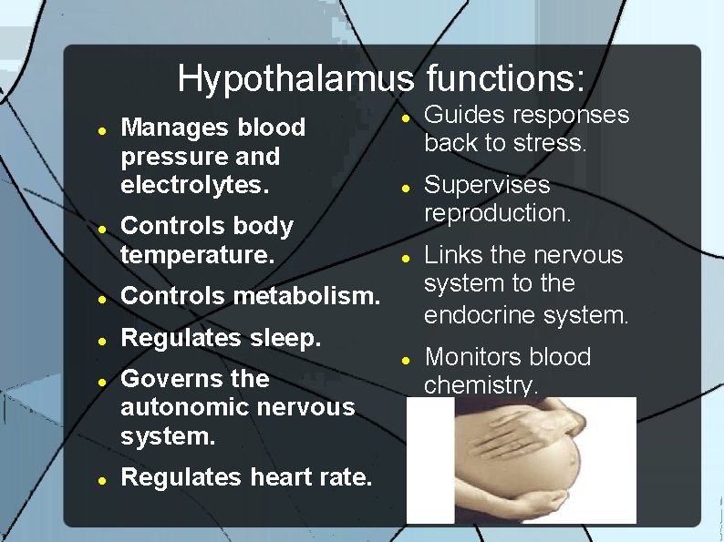 Hypothalamus functions: Manages blood pressure and electrolytes. Controls body temperature. Controls metabolism. Regulates sleep.