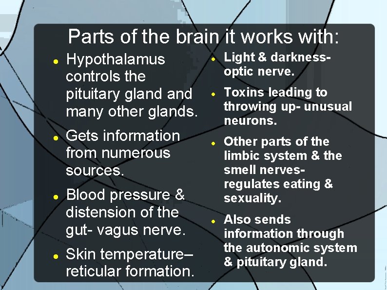 Parts of the brain it works with: Hypothalamus controls the pituitary gland many other