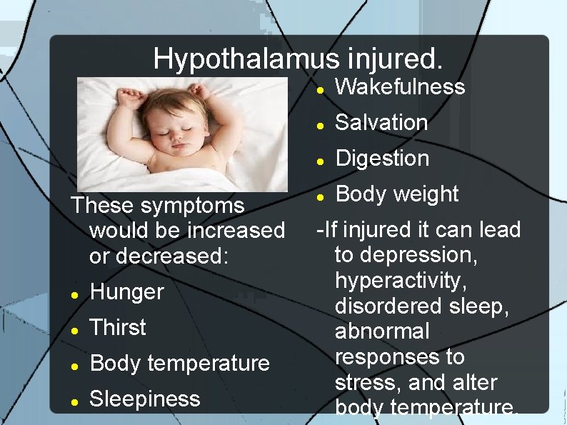 Hypothalamus injured. These symptoms would be increased or decreased: Hunger Thirst Body temperature Sleepiness