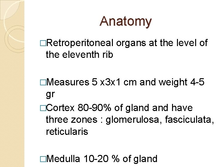Anatomy �Retroperitoneal organs at the level of the eleventh rib �Measures 5 x 3