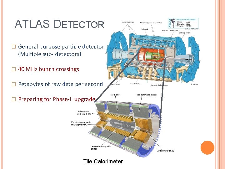 ATLAS DETECTOR � General purpose particle detector (Multiple sub- detectors) � 40 MHz bunch