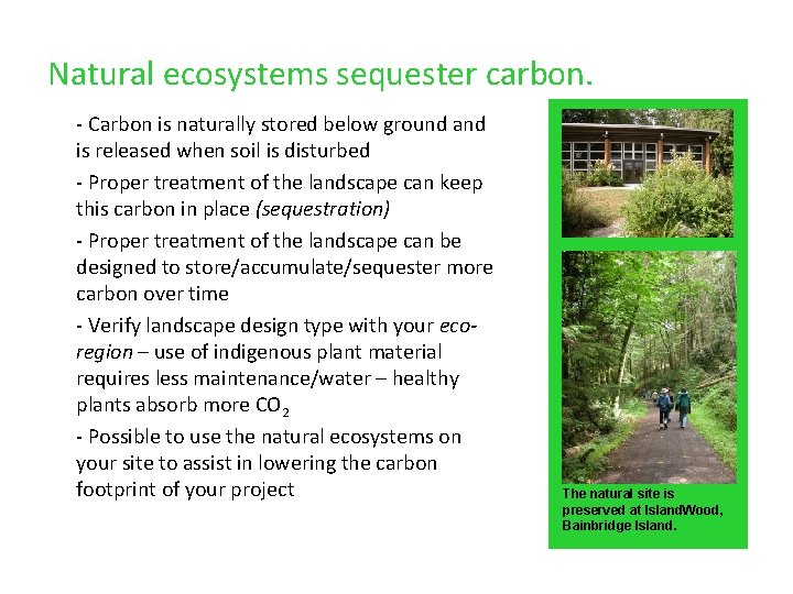 Natural ecosystems sequester carbon. - Carbon is naturally stored below ground and is released