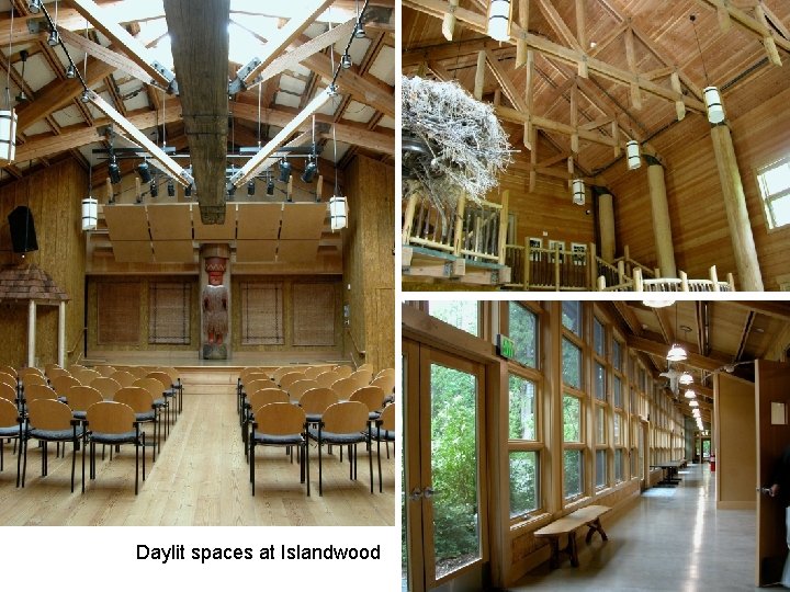 Daylit spaces at Islandwood 