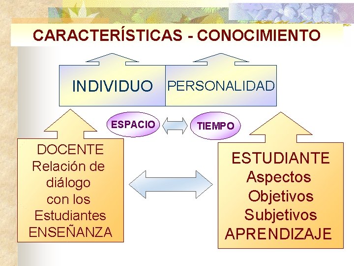 CARACTERÍSTICAS - CONOCIMIENTO INDIVIDUO PERSONALIDAD ESPACIO DOCENTE Relación de diálogo con los Estudiantes ENSEÑANZA